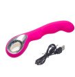 APHRODISIA 10 Speeds Silicone USB Rechargeable vibrator