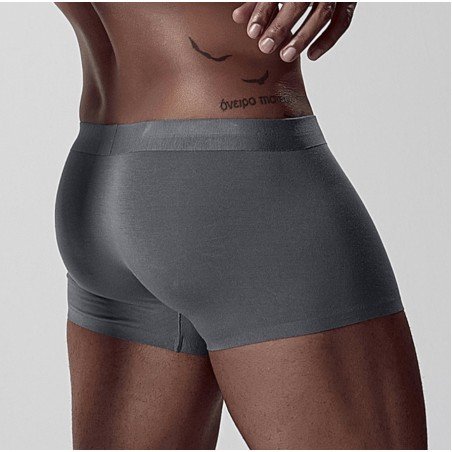 Men Underwear Boxer Modal Breathable Comfortable Underpants Male Panties Cueca Tanga Me