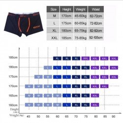 Silk Boxer Shorts Men Underwear Thin Cueca Masculina Ropa Interior Hombre Mens Boxers Homme Man Calzoncillos M-2XL