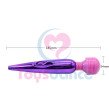 Toysdance Adult Masturbation Sex Toys For Women 18534mm USB Rechargeable Powerful Wand Vibrator Ben