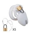 Silicone Chastity Cage Male Cock Lock With 5 Sizes Penis Ring Chastity Belt Sextoys For Men