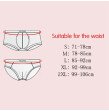 Transgender Fake Vagina Panty Underwear Vagina for Crossdresser Clothing Drag Queen Shemale Panty Tr
