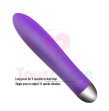 Toysdance Silicone G-spot Bullet Vibrator For Women USB Rechargeable Waterproof Vibrating Dildo Adul
