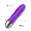 Toysdance Silicone G-spot Bullet Vibrator For Women USB Rechargeable Waterproof Vibrating Dildo Adul