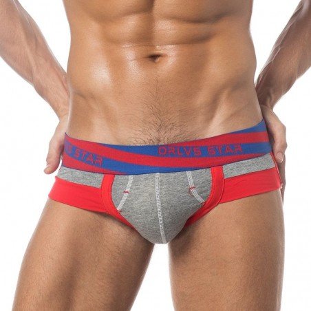 ORLVS Brand Underwear Men Male Sexy Briefs Cotton Fabric Hollow Design Men Underwear Briefs Men Unde