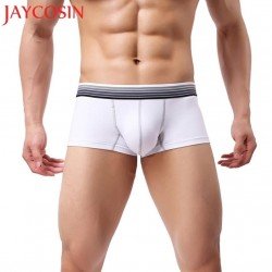 Men Sexy Underwear Striped Boxer Shorts Bulge Pouch bulge Male Gift Dropshipping