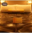 New Style Waterproof Adult Bed Sheets Sex PVC Vinyl Mattress Cover Sexy games