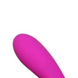 Designer vibes Lelo Tara  USB Rechargeable Clitoral and G-Spot Vibrator