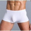 Summer Ice Silk Men Underwear Sexy Gay Thin Soft Breathable Man Boxer Shorts Seamless Solid M