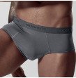 Brand Sexy trunks for Men Underwear Pants Men Mesh Mens Underwear Shorts Boxers Shorts Sexy Men C