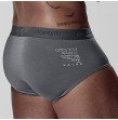 Brand Sexy trunks for Men Underwear Pants Men Mesh Mens Underwear Shorts Boxers Shorts Sexy Men C
