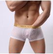 White Boxer briefs with transparent  Stripes