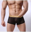 White Boxer briefs with transparent  Stripes