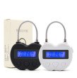 Time Lock Fetish Handcuffs Mouth Gag Electronic Timer Bdsm Bondage Restraints Chastity Couples Toys
