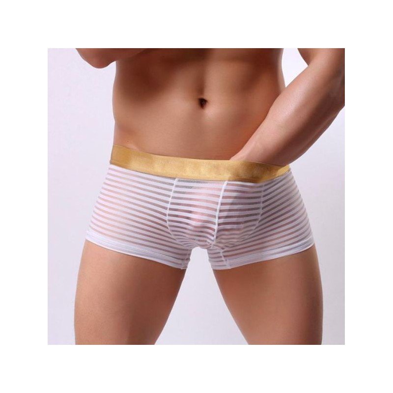 Transparent sexy underwear men penis pouch gauze boxers shorts