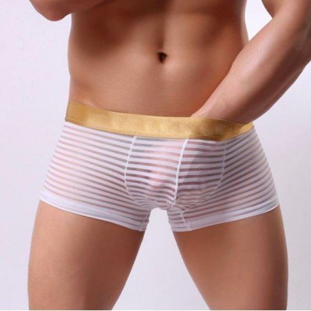 Transparent sexy underwear men penis pouch gauze boxers shorts