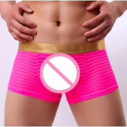 Transparent sexy underwear men penis pouch gauze boxers shorts