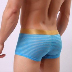 Transparent sexy underwear men penis pouch gauze boxers shorts