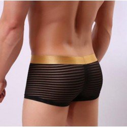 Transparent sexy underwear men penis pouch gauze boxers shorts