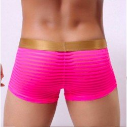 Transparent sexy underwear men penis pouch gauze boxers shorts
