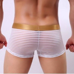 Transparent sexy underwear men penis pouch gauze boxers shorts