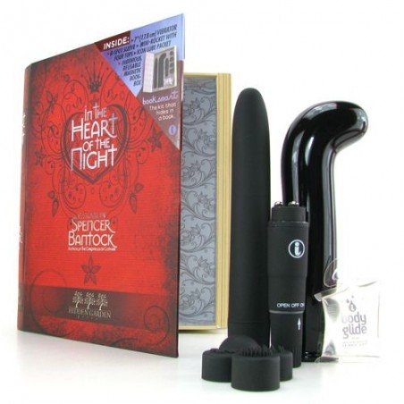 vibrator set that discreetly hides in fake book