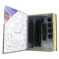 vibrator set that discreetly hides in fake book